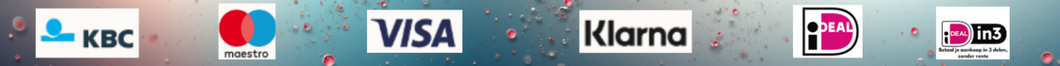Betaalmogelijkheden 1600 X 100 Px