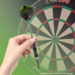 26g Roestvrijstalen Darts