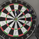 21 gram professionele Dartset met Stalen Punt