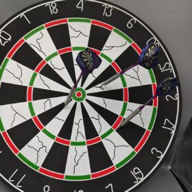 21 gram professionele Dartset met Stalen Punt